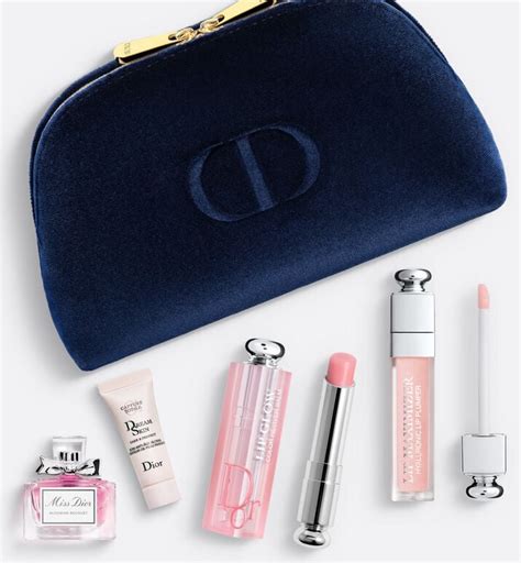 dior cosmetics pouch